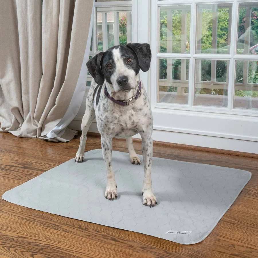 dog pee pad