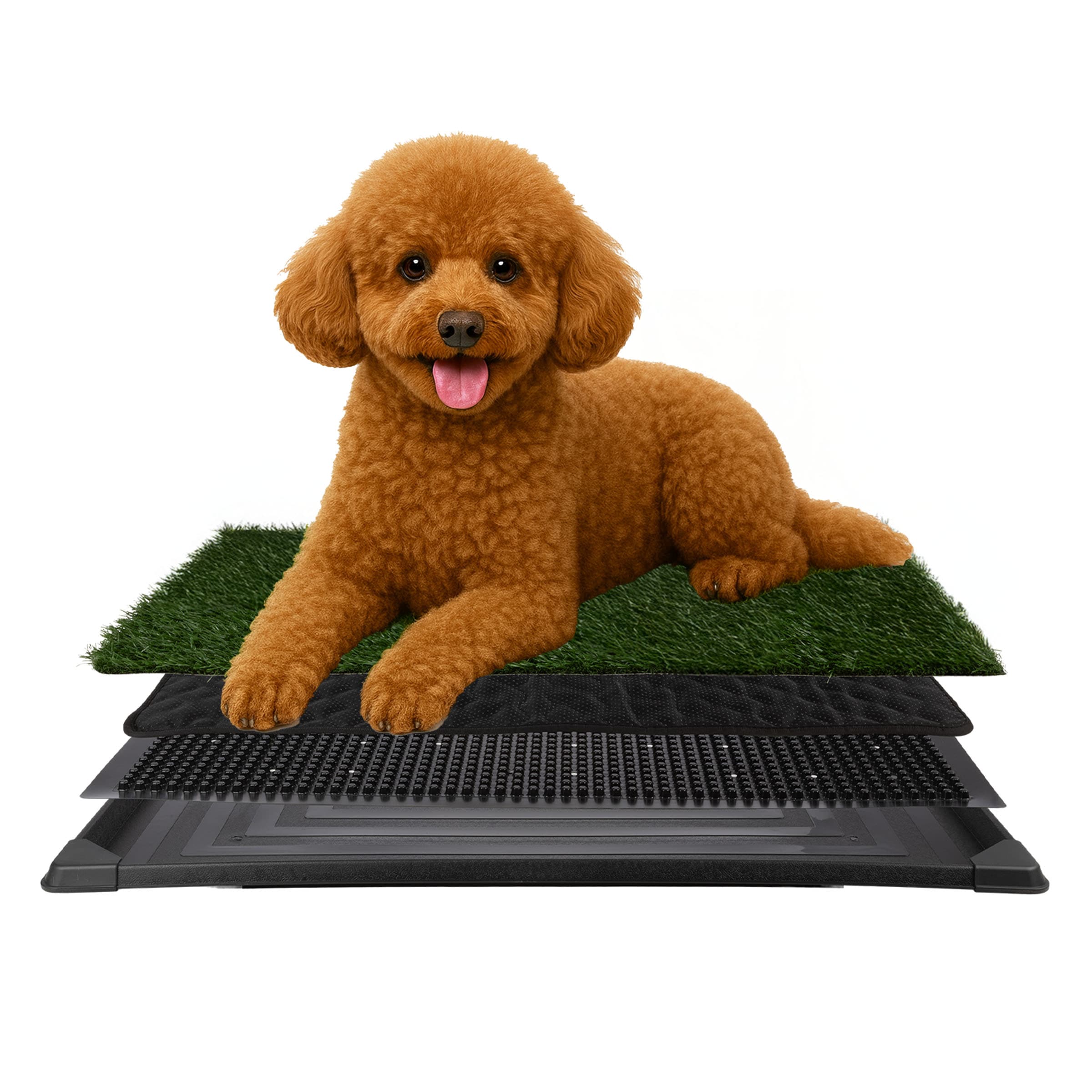 dog pee pad