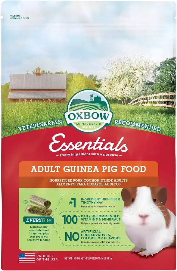 guinea pig food